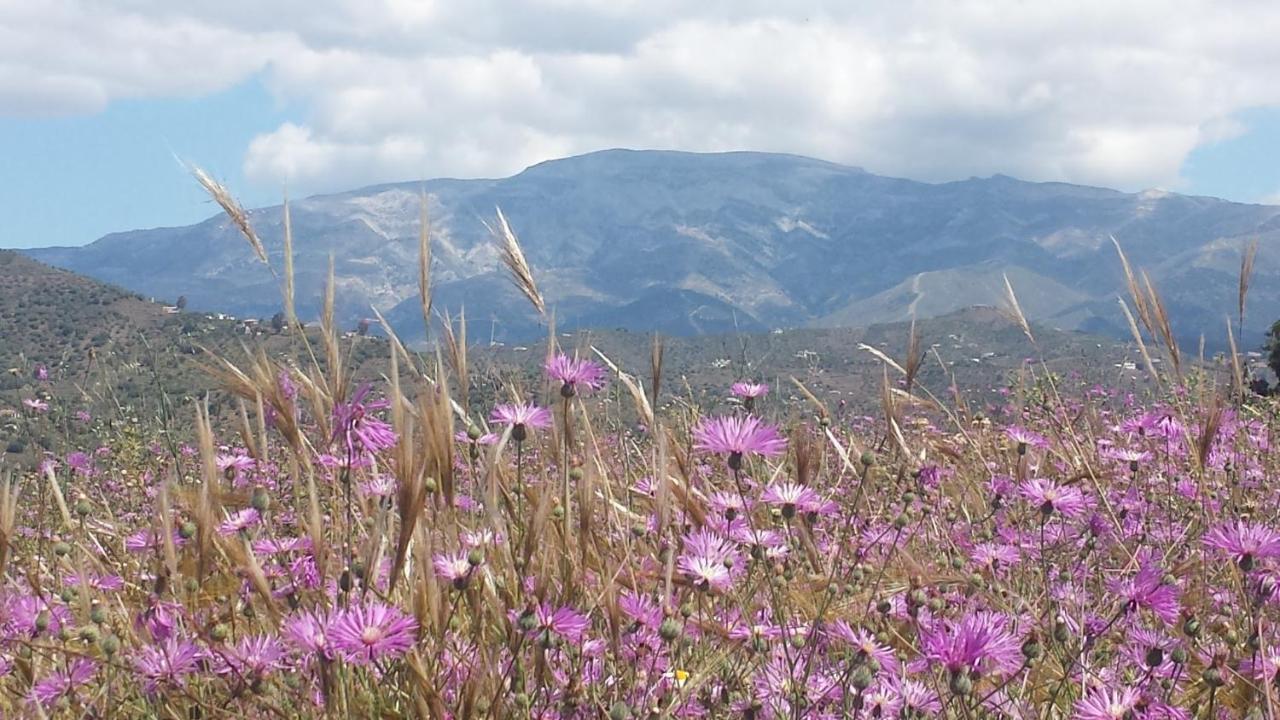 Villa Perla Blanca Sayalonga Bagian luar foto